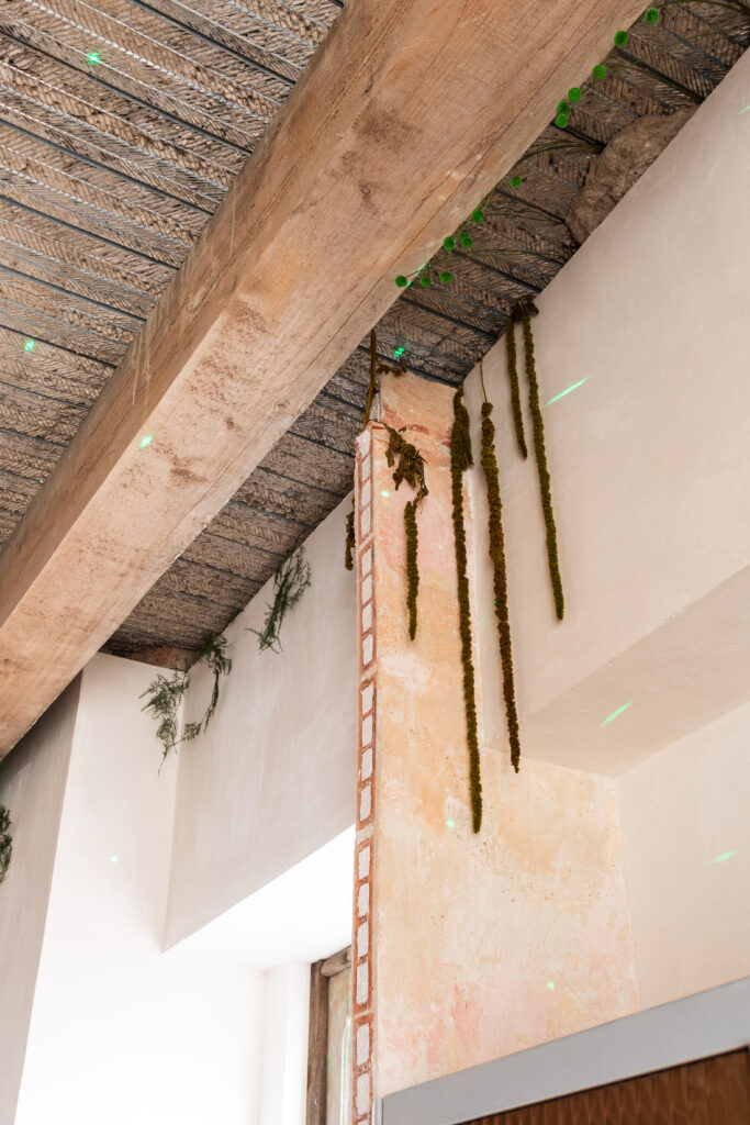 vivienda